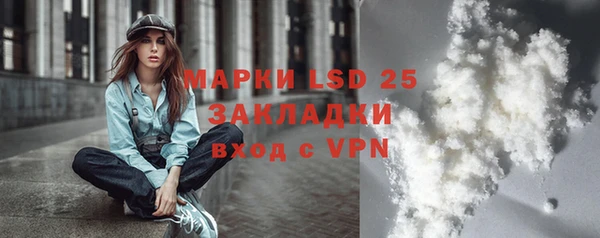 индика Рославль