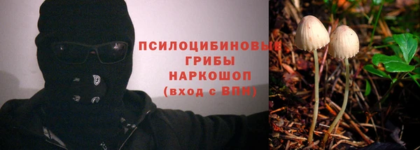 первитин Абинск