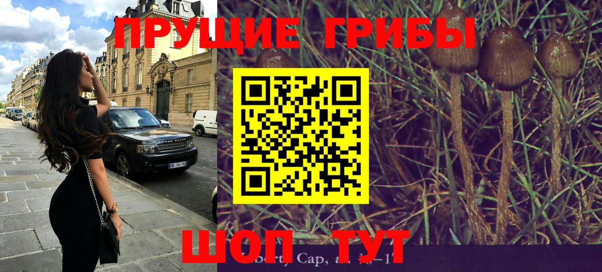Галлюциногенные грибы мицелий Железноводск