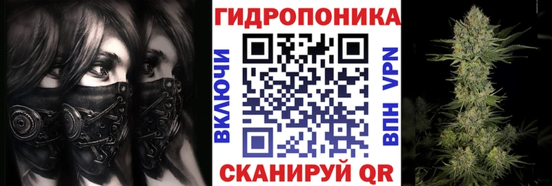 Бошки марихуана сатива  Железноводск 